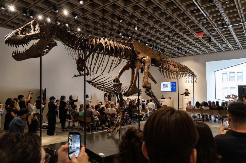 🦖 Nyu-Yorkdagi kimoshdi savdosida tiranozavr skeleti rekord summa — 50,1 million dollarga sotildi.