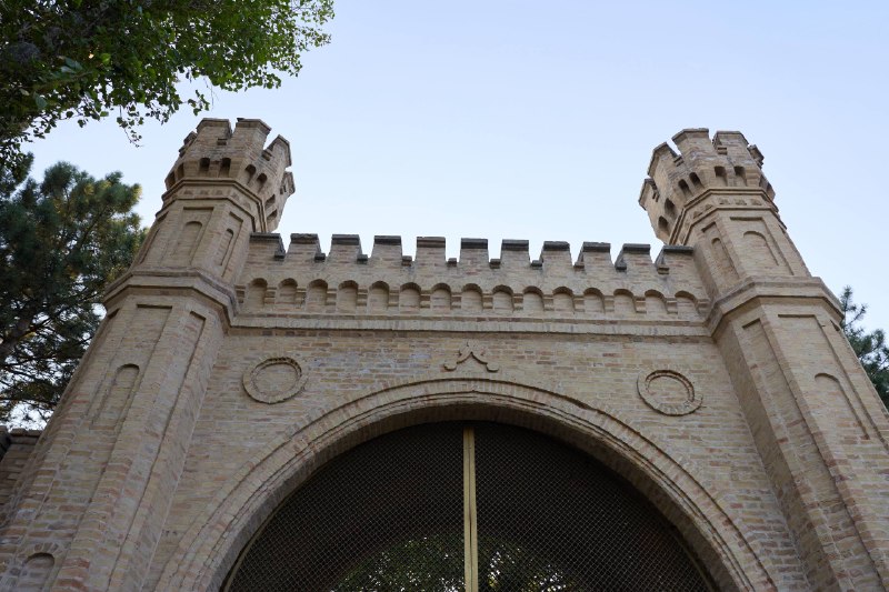 Toshkent jadal rivojlanmoqda, ammo, ayni paytda, shahrimizda yashil hududlar nihoyatda kam.